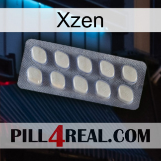 Xzen 08
